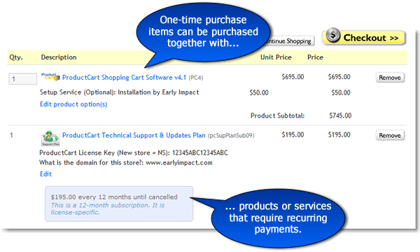 Selling one-time purchase items and subscriptions at the same time